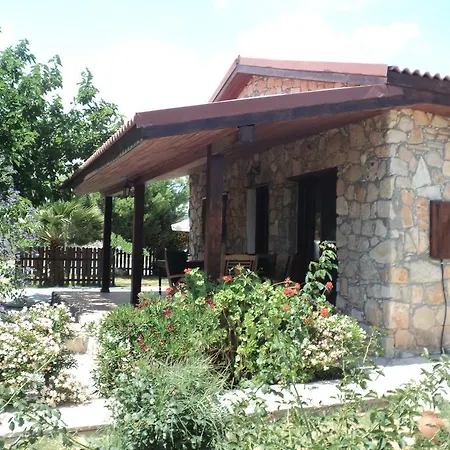 Antonaros * Pissouri